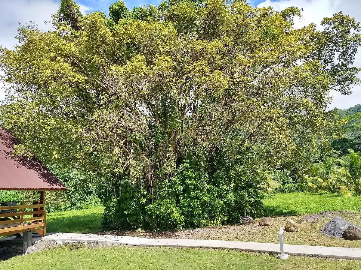 Pension Les Trois Cascades Hotel Uturoa